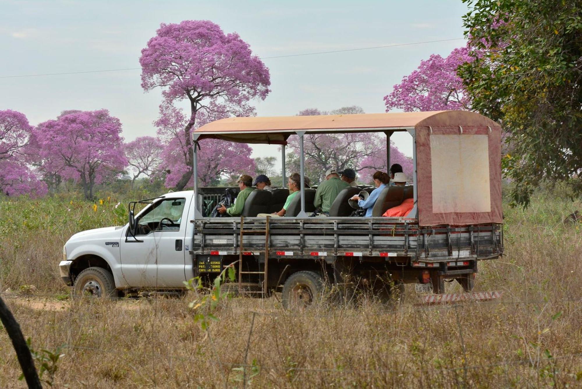 Southwild Pantanal Lodge Pixaim Exterior foto